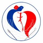 Cardiología No Invasiva: Tecnología avanzada para cuidar tu corazón sin cirugía