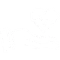 cardiologia